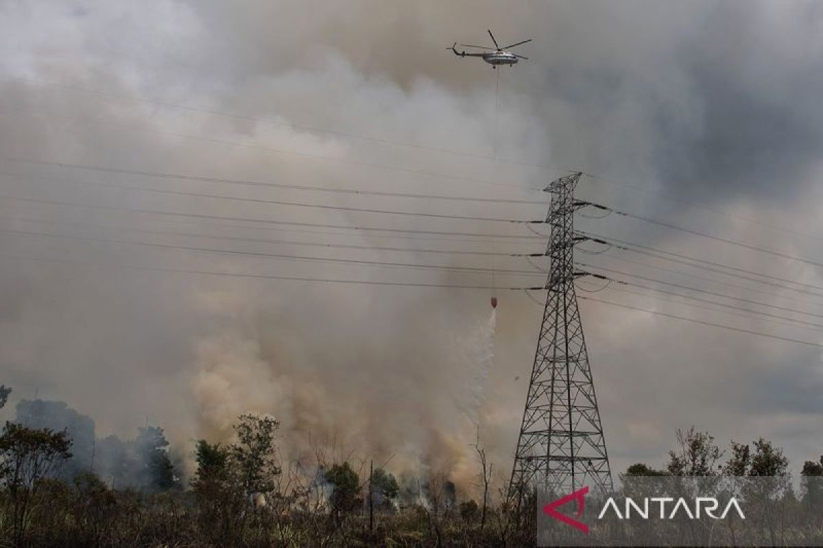 BNPB Instructs Local Governments to Intensify Forest Fire Patrols and Map Water Sources