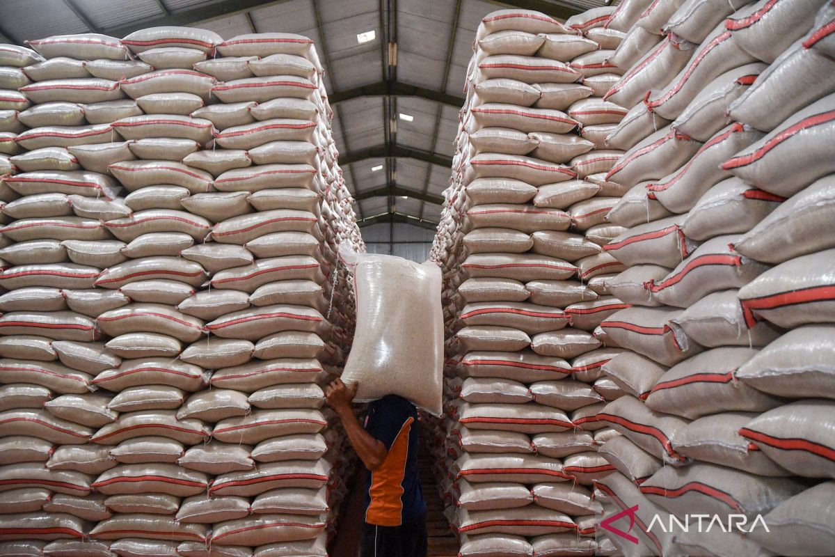 High Rice Production Must Be Matched by Productivity Gains, Analysts Say