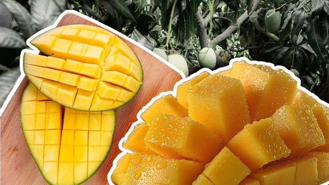 New Phenomenon! French Mangoes Begin Flooding Indonesia