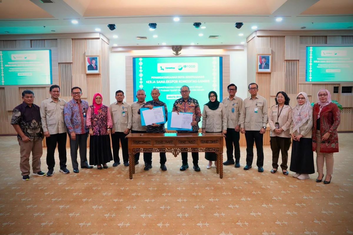 West Sumatra Gambir Cooperative and ID FOOD Forge Export Partnership