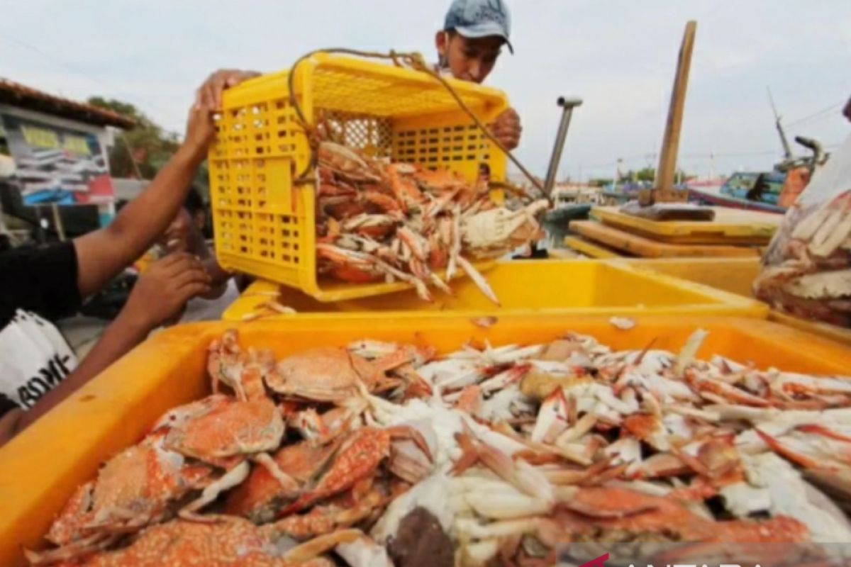 East Kalimantan's seafood exports gain global reach