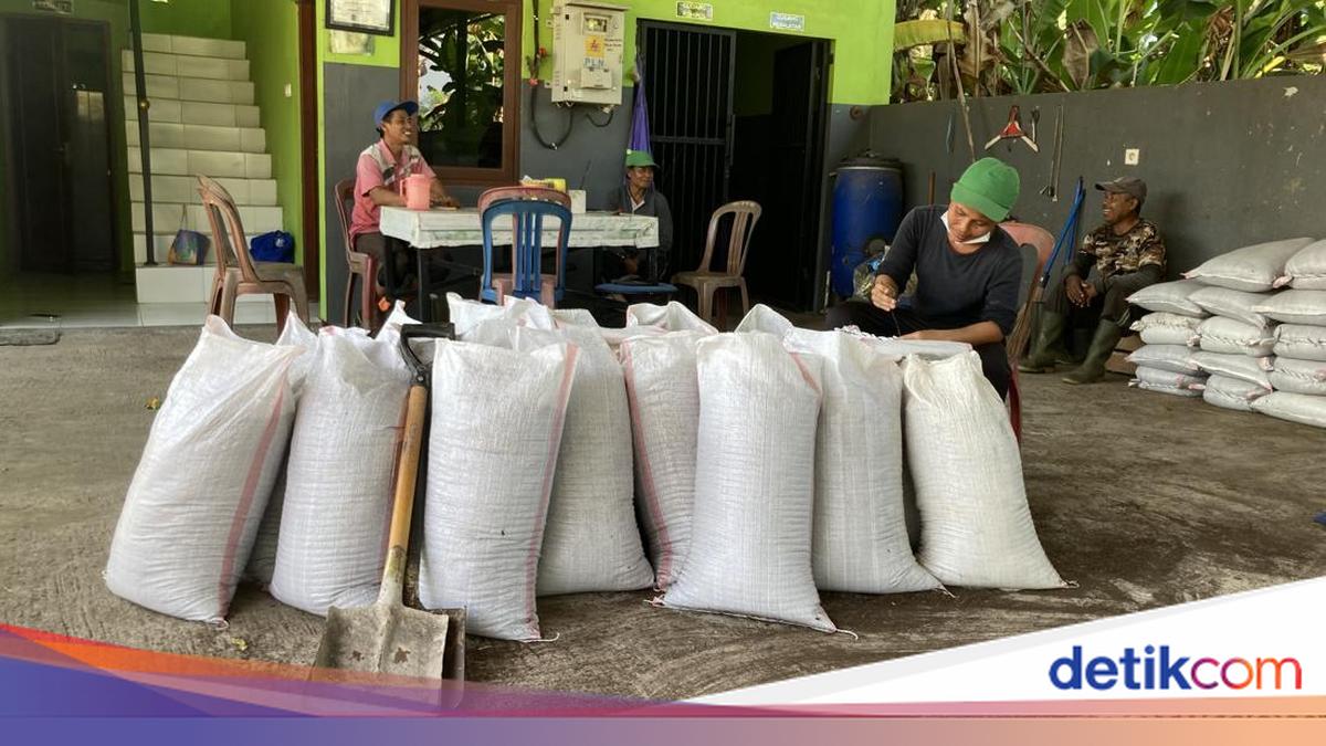 PPE Not Provided, Klungkung TPS3R Workers Buy Their Own Masks and Gloves
