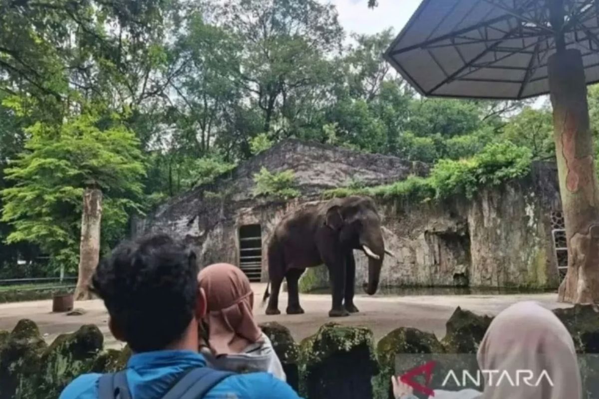 Ragunan Zoo Draws 17,917 Visitors During Jakarta's 499th Anniversary Free Entry