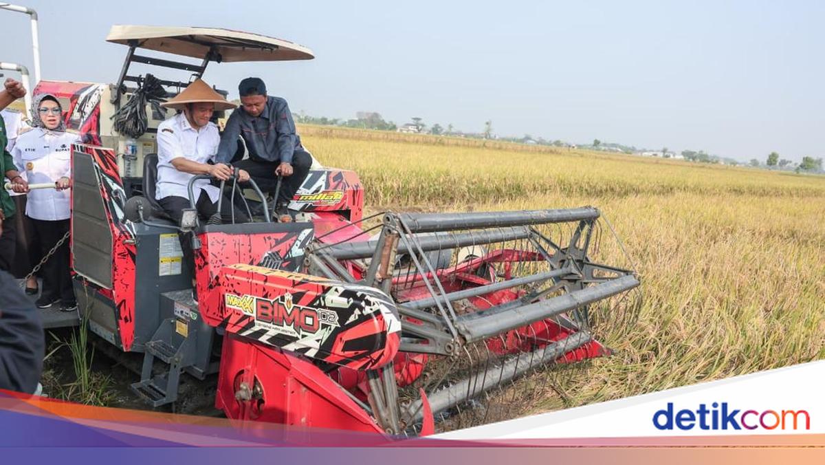 Central Java's Rice Production Reaches 6.69 Million Tonnes, Governor Says