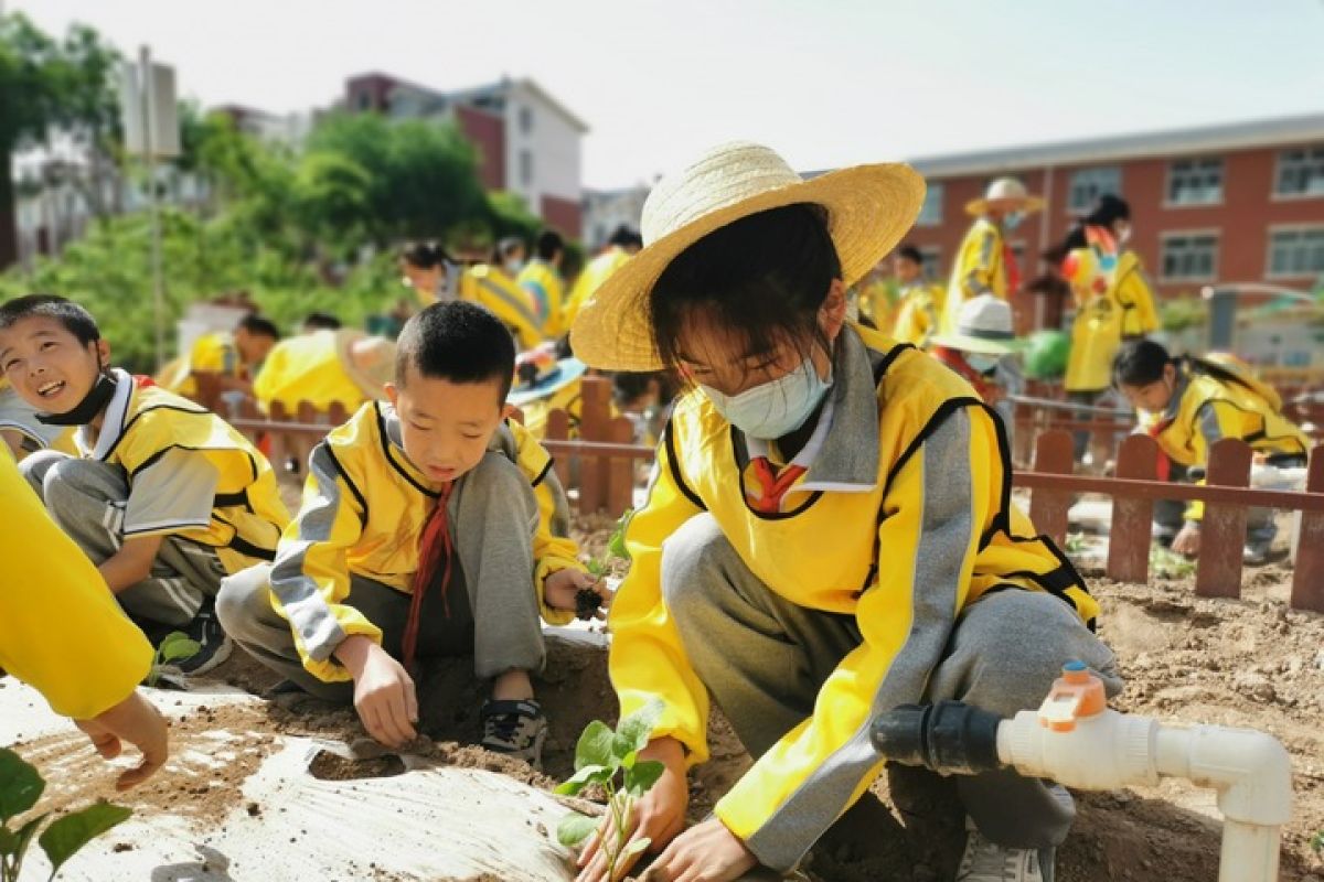 Lunch and the Process Behind It Become a Subject in China