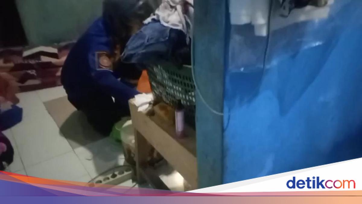 Cobra Slithers into Bedroom at Night, Bogor Resident Calls Fire Brigade