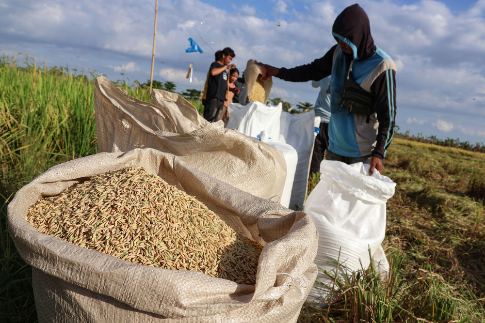 Prabowo Highlights the Plight of Indonesian Farmers