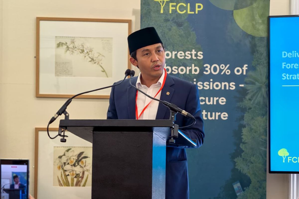 Indonesia promotes global forestry agenda at London forum