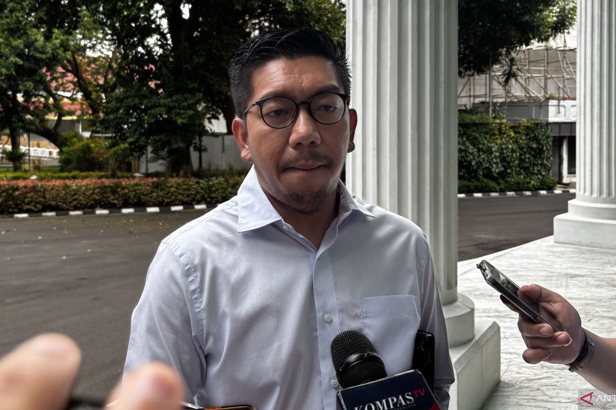 Government denies conditioning public demonstrations in support of free nutritious meals