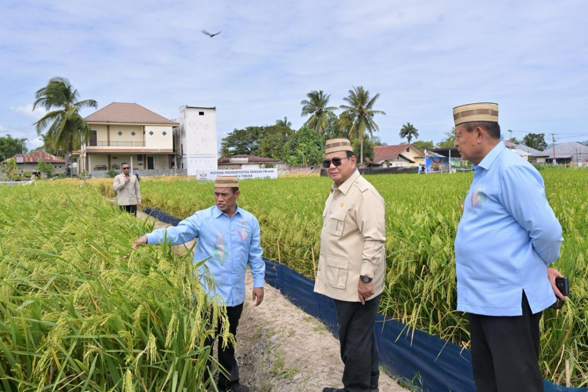 Prabowo sees Indonesia emerging as global food power