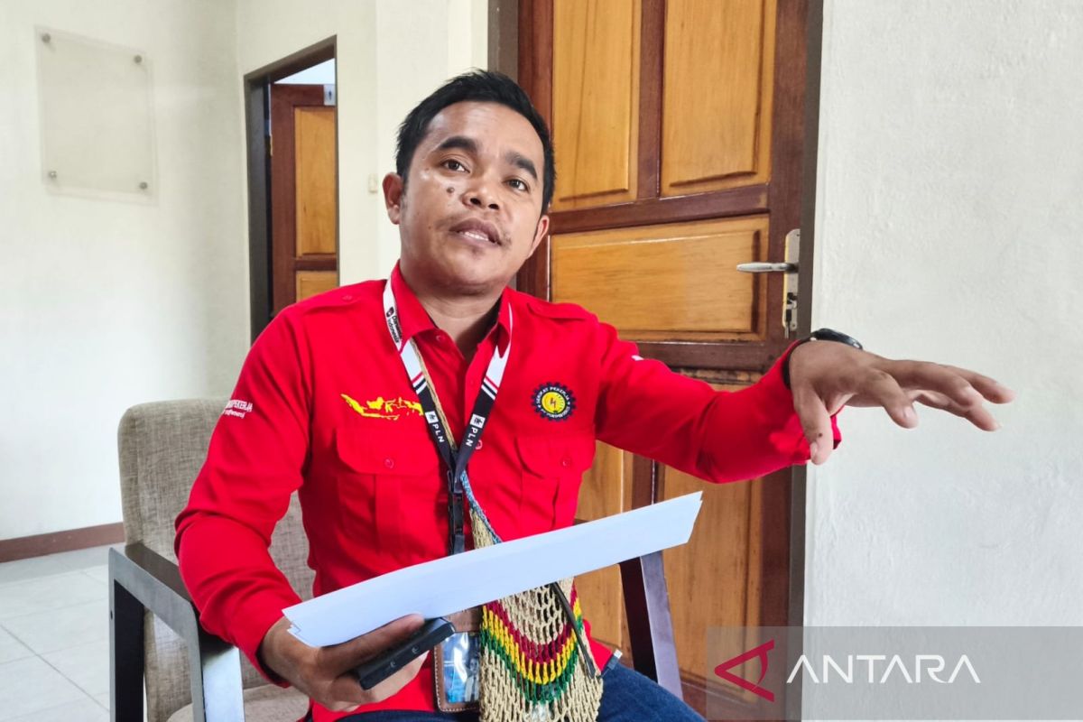 PLN: 1,208 Villages in Central Papua Now Electrified