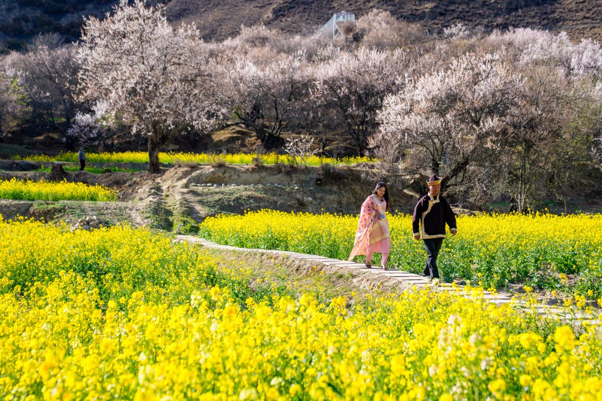 China's Autonomous Regions Record Significant Economic Growth
