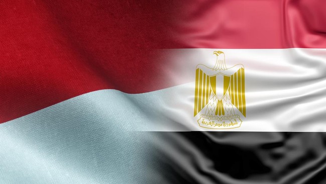 Indonesia-Egypt FTA Draws Closer, Set for Discussion at D-8 Meeting