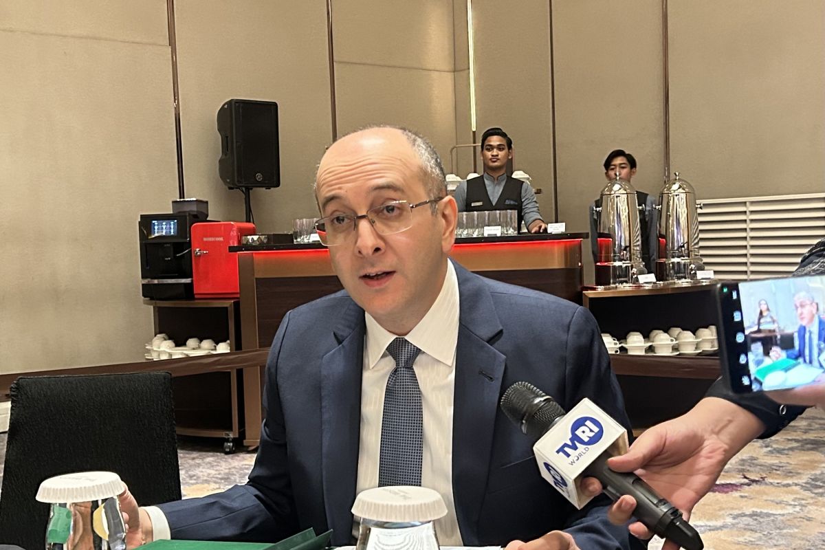 Egypt-Indonesia share special cultural and educational ties, says ambassador