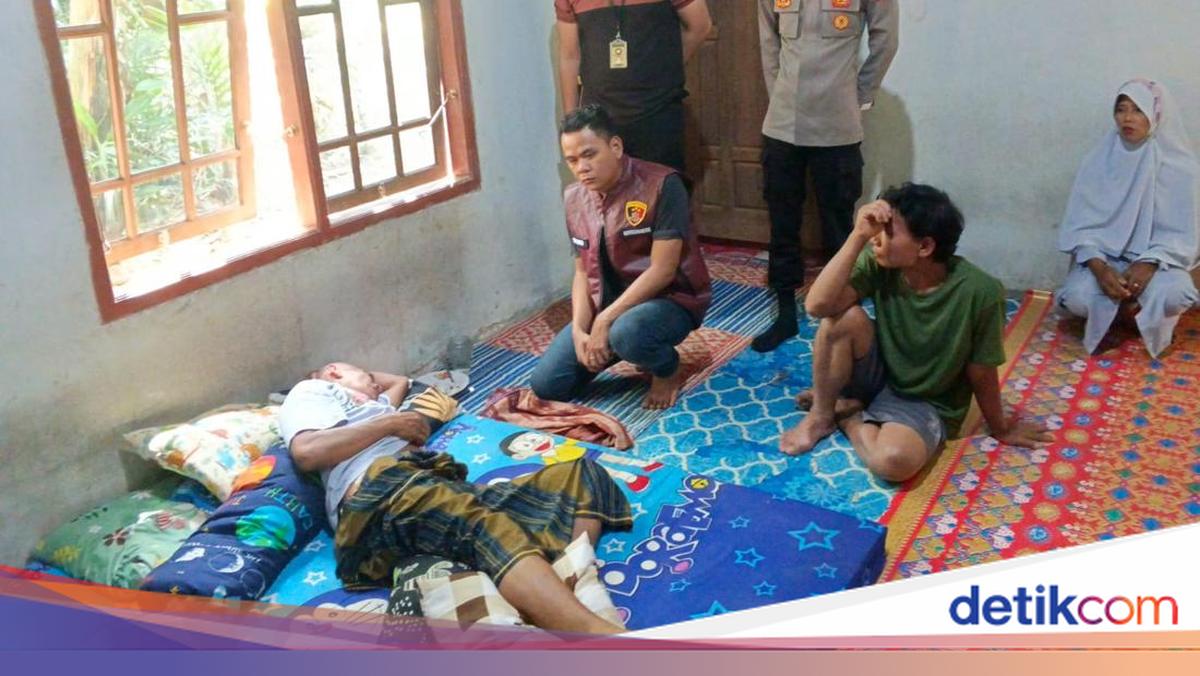 South Sumatra Farmer Attacked by Bear While Gardening, Suffers Waist and Thigh Injuries