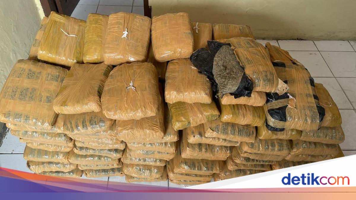 Car-Truck Collision in North Tapanuli Exposes 112 kg Cannabis Shipment