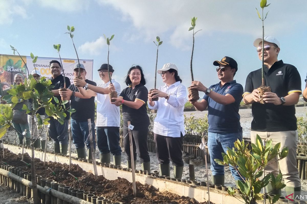 Finance Ministry Maps Carbon Trading Potential in Bali at Rp1.7 Trillion