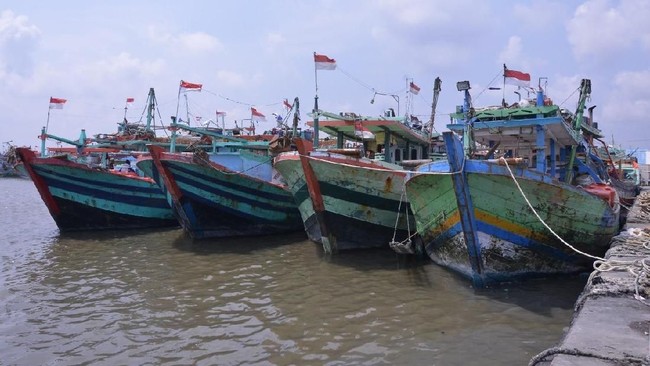 Fishermen to Receive Modern Vessels as Indonesia Upgrades Fishing Fleet