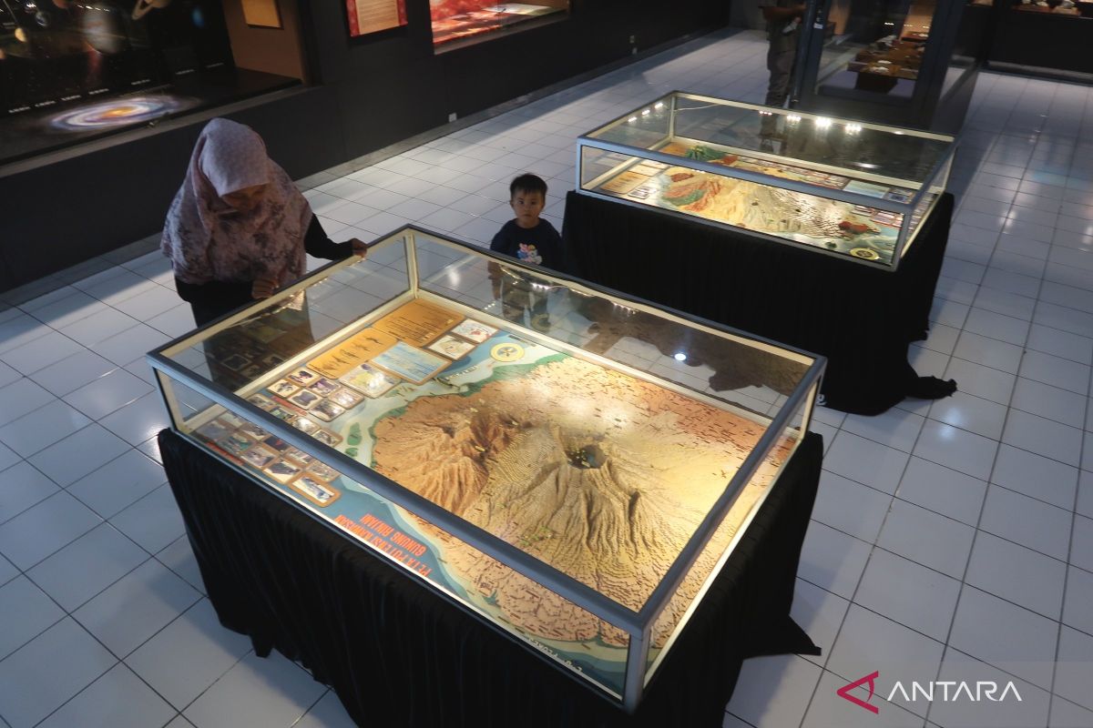 Museum as a Node of Diplomacy