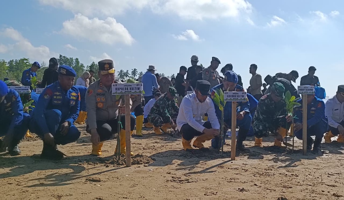 Planting the Future on the Coast of Lamaru, East Kalimantan