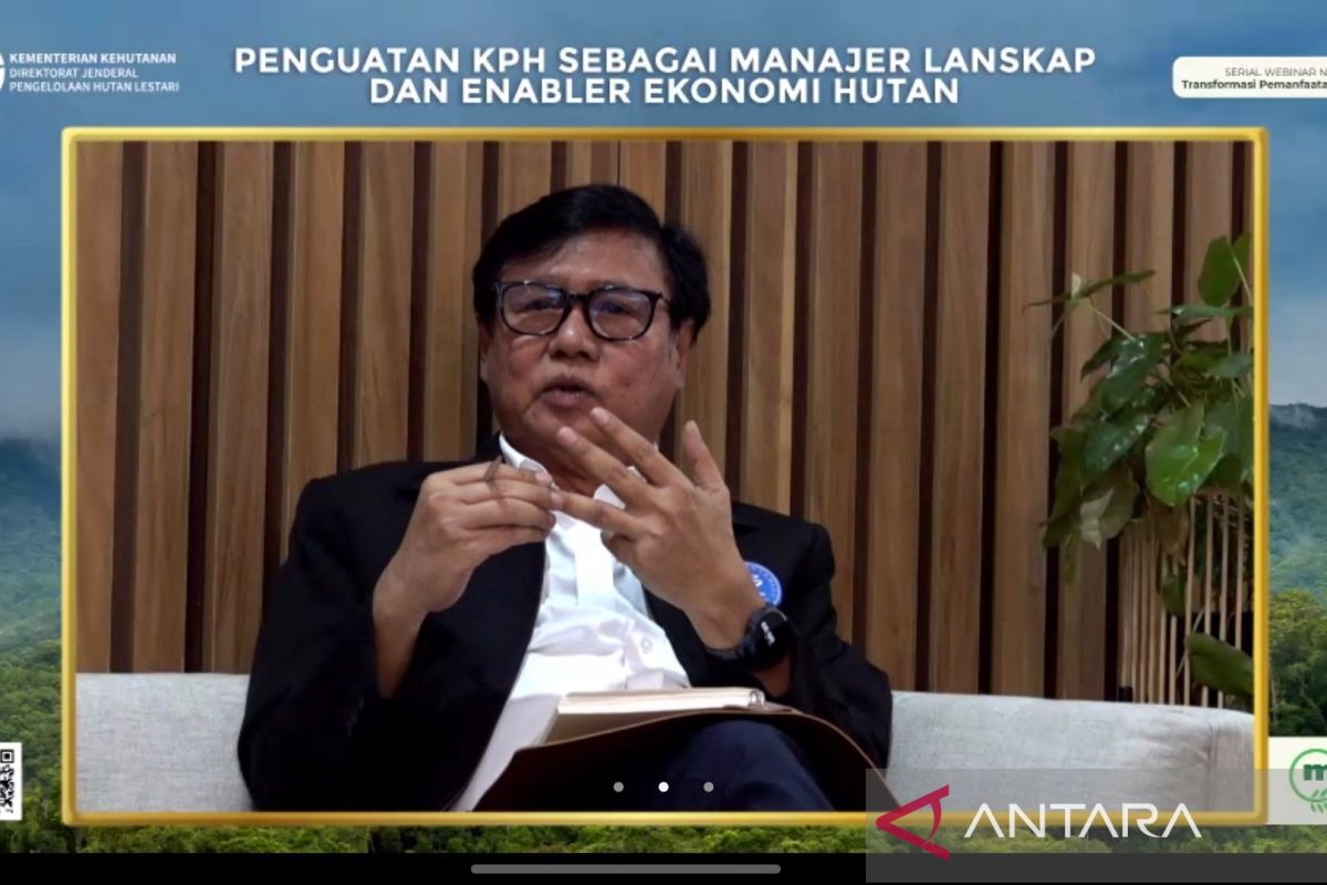 IPB Expert Offers Three Solutions to Strengthen Forest Management Units to Tackle Deforestation
