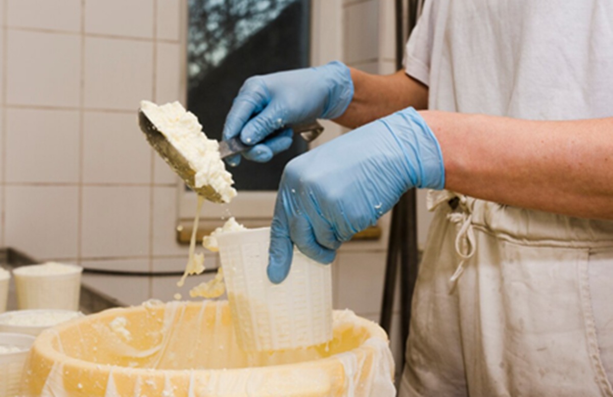 Waste from Cheese and Tofu Production Could Be a Cheap Solution for Absorbing Carbon Dioxide