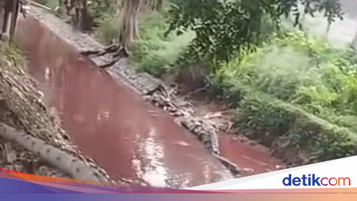 Bekasi's Sadang River Turns Blood Red, Sparking Investigation