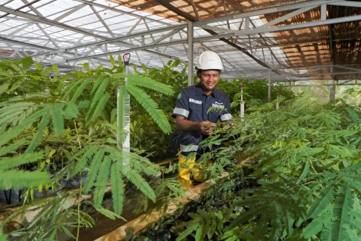 MIND ID Reclaims 8,000 ha of Ex-Mining Land and 37,700 ha of Watersheds