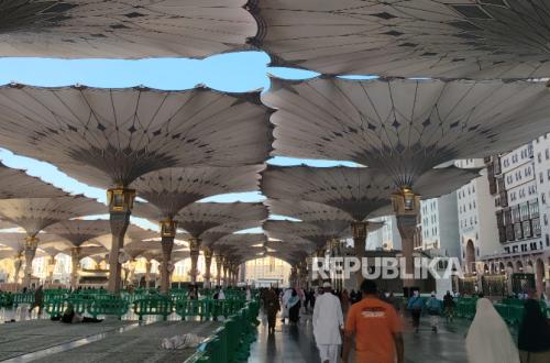 100 Hajj Pilgrims Still Hospitalised, Medical Team Ensures Tanazul Process Unhindered