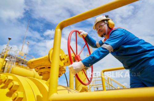 Natural Gas Roadmap Pushed as Reference to Accelerate Energy Sovereignty