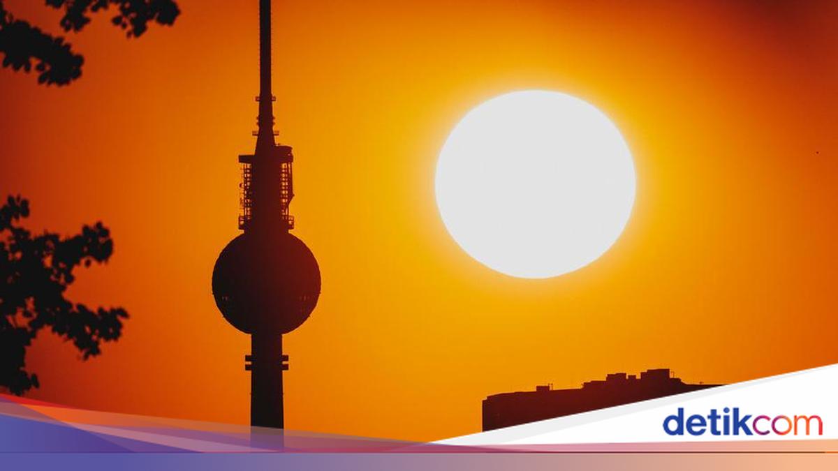 Extreme Heat Causes Economic Losses in Germany