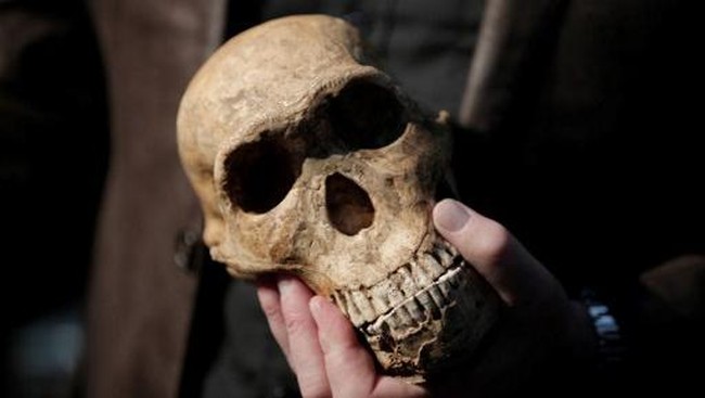 Identity of 20 Stacked Ancient Human Remains Revealed, Scientists Stunned