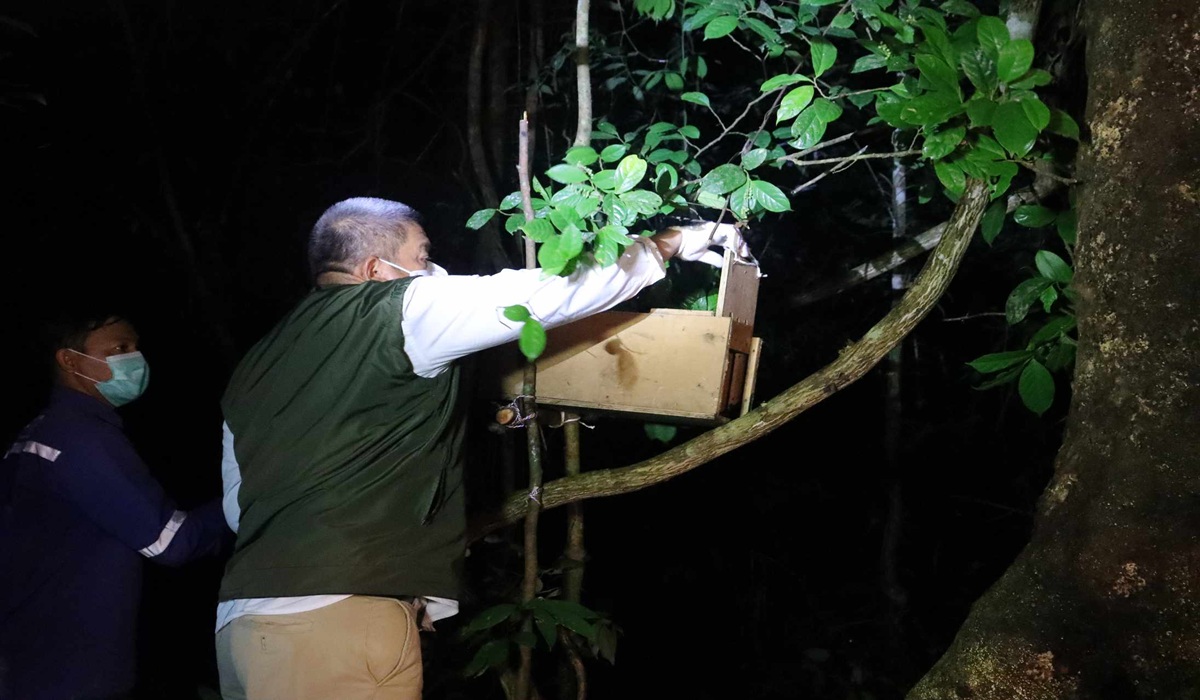 Riau BKSDA Releases Protected and Unprotected Wildlife into Zamrud National Park