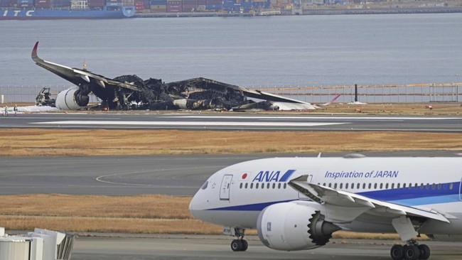 Japan Suddenly Cancels 100 Flights, What's Happening?