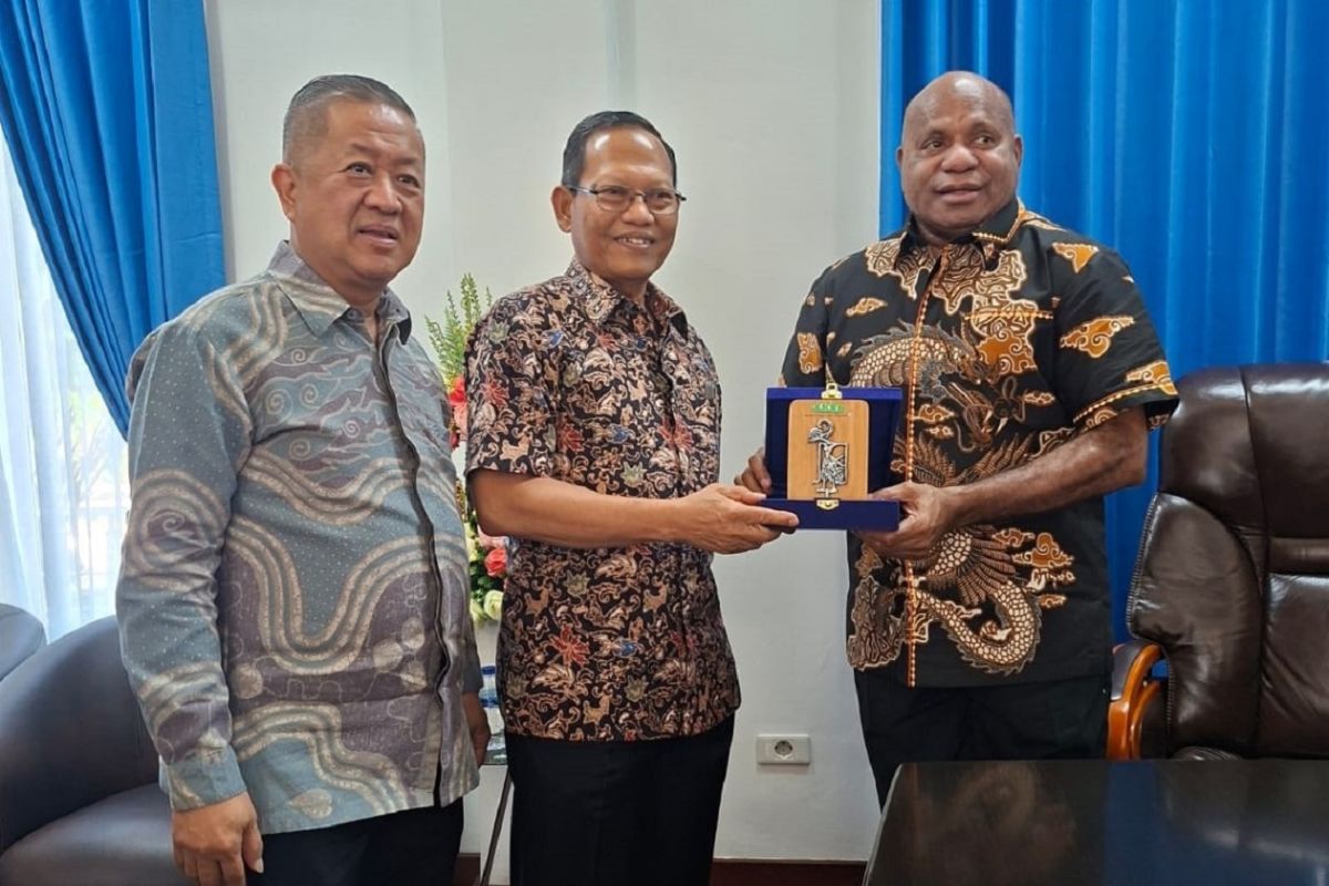 APHI: Papua Has Huge Potential to Develop Multi-Business Forestry