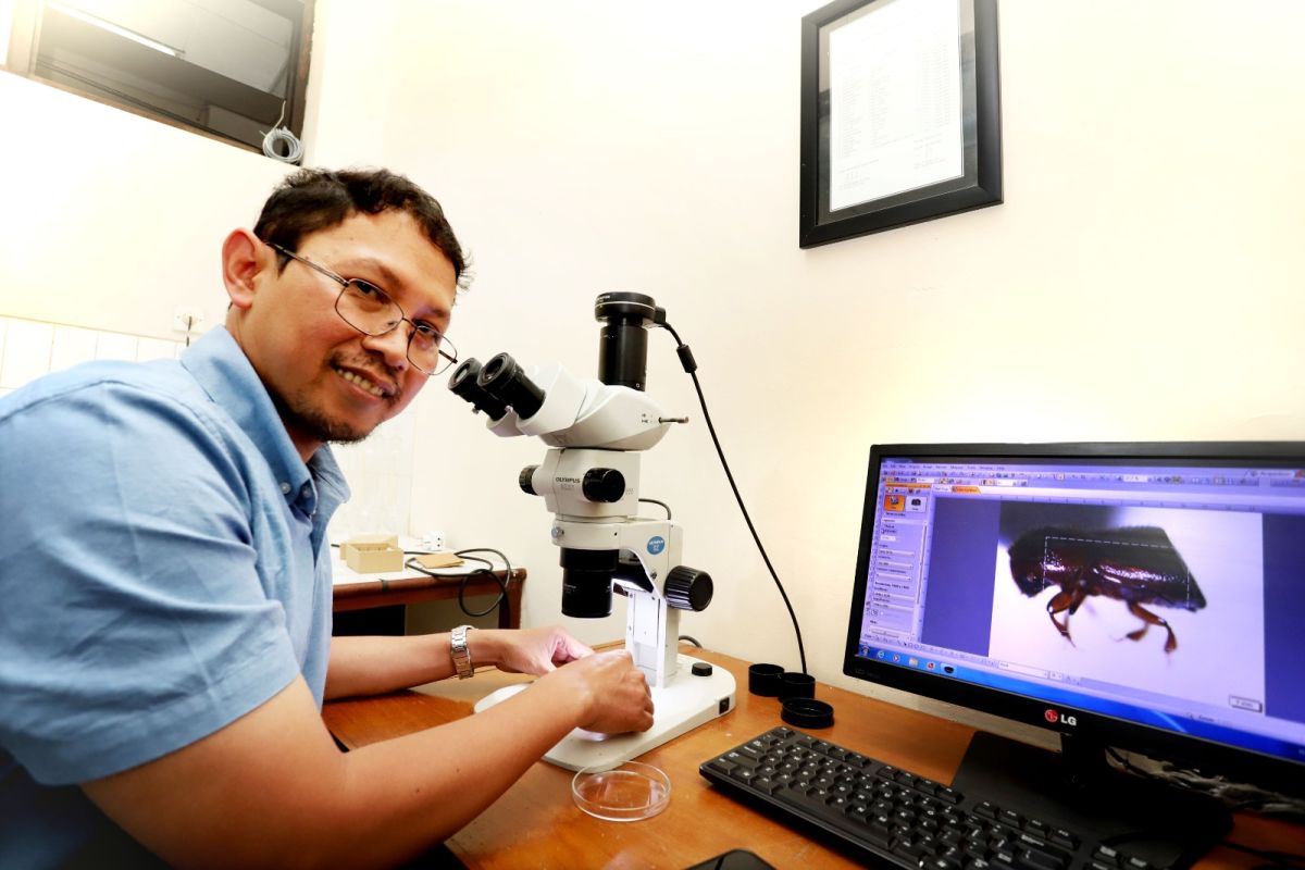 University of Brawijaya Researchers Discover Four New Beetle Species