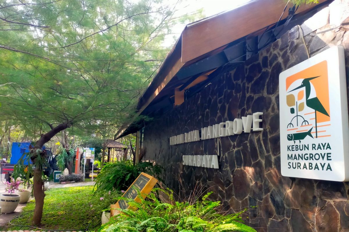 Surabaya's BRIDA develops pyrolysis to turn mangrove plastic waste into boat fuel
