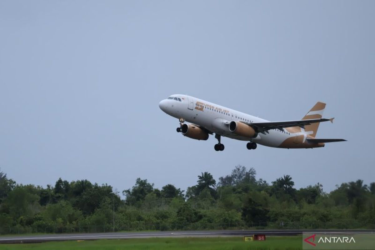 Indonesia to revise airfare cap once fuel prices stabilise