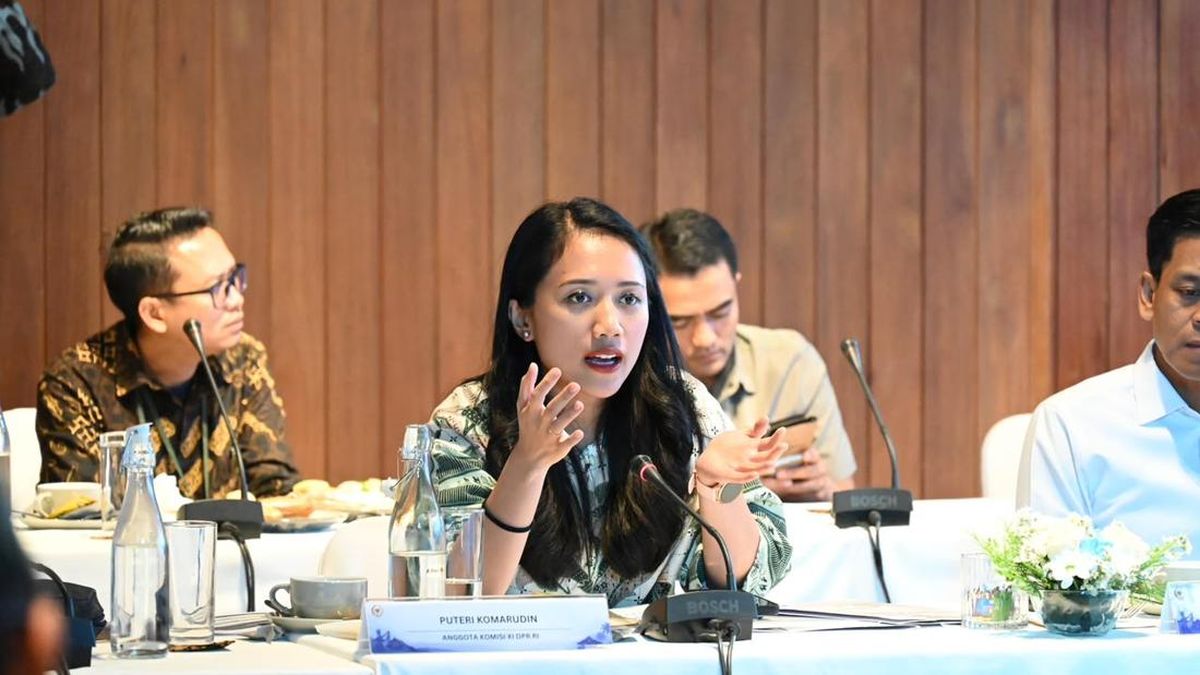 Puteri Komarudin Pushes for Strengthening Regional Transfer Policies