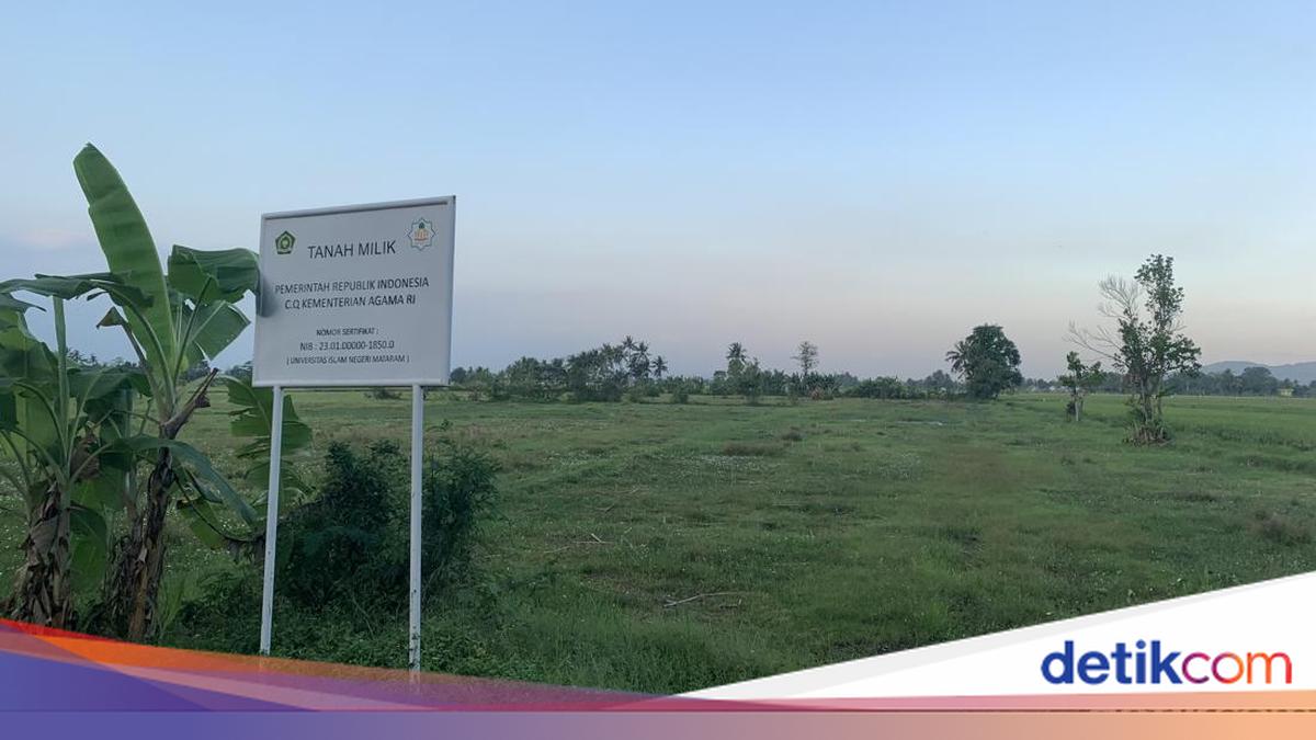 Under Scrutiny, UIN Mataram Confirms Campus 3 Construction on Regency Land Grant