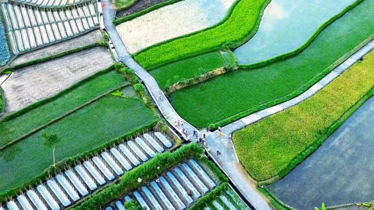 UPLAND Programme Strengthens Local Food Security and Pursues Export Market Mission