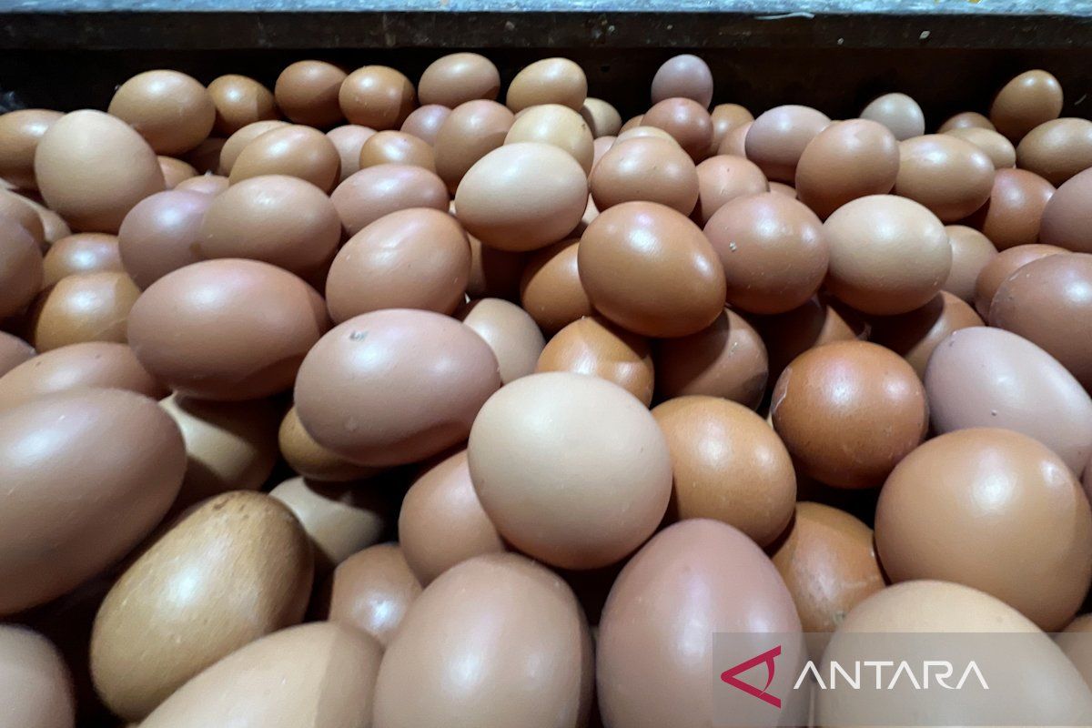Chicken eggs at Rp29,750/kg, shallots Rp50,950/kg on Saturday morning