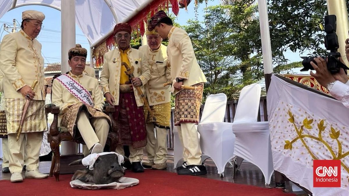 Jokowi Receives 'Baginda Pemuka Bangsa' Title in Lampung, What Is Its Meaning?
