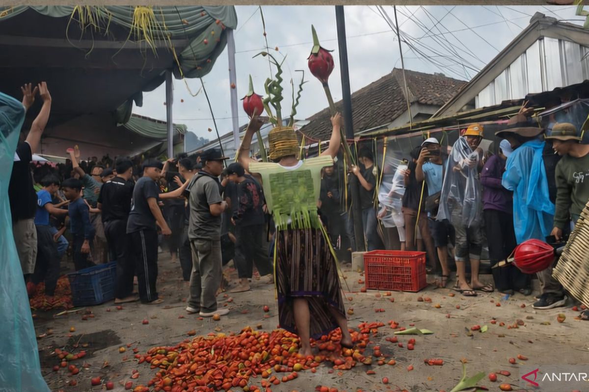 When Throwing Tomatoes Cultivates a Tradition in Lembang