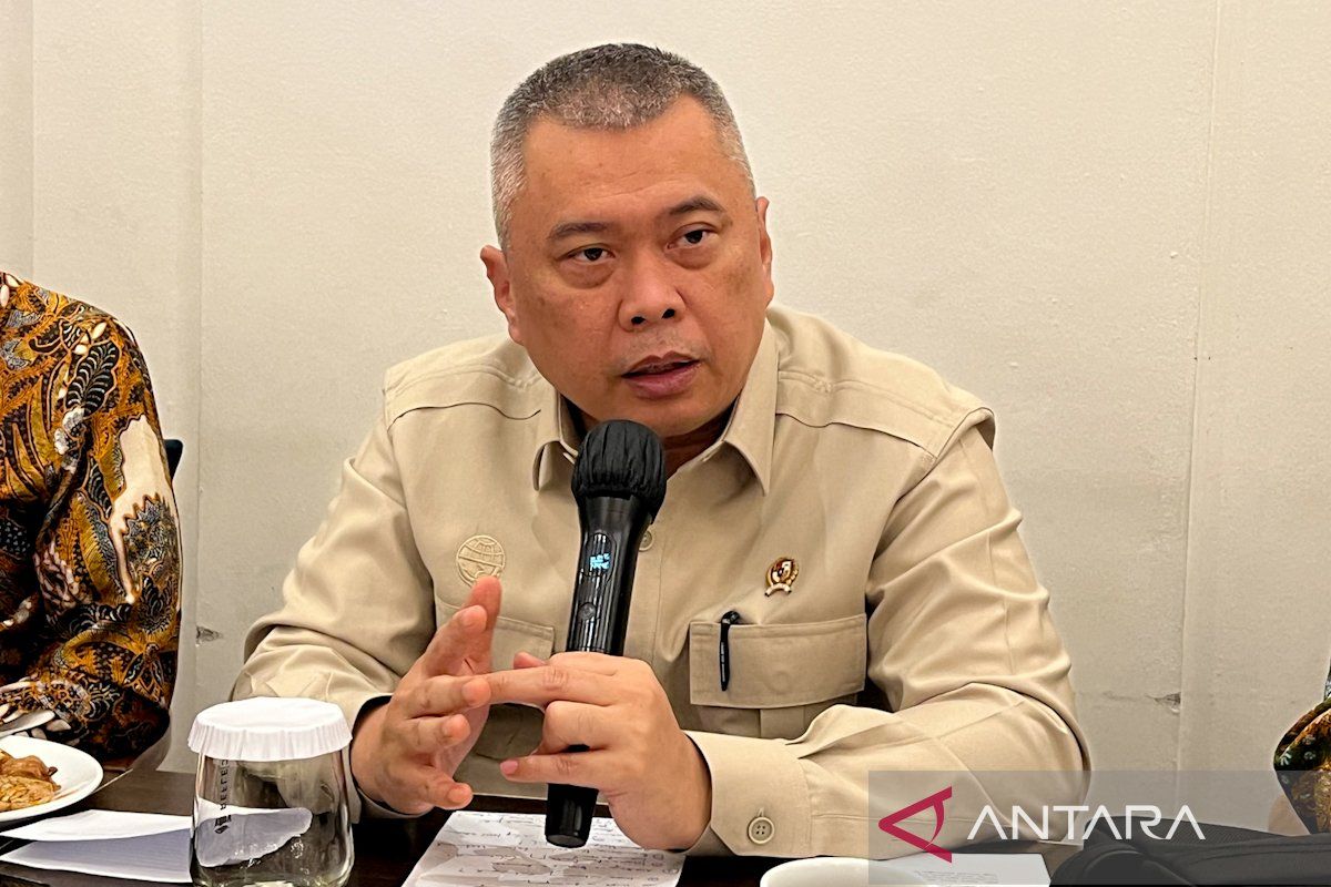 Minister eases private investment in RoRo ship logistics
