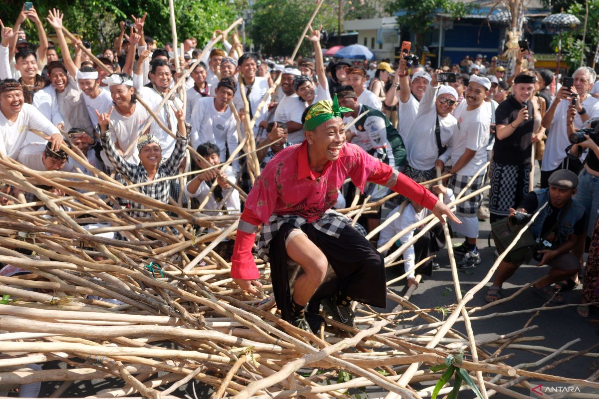 Mekotek Tradition Marks Kuningan Day in Bali