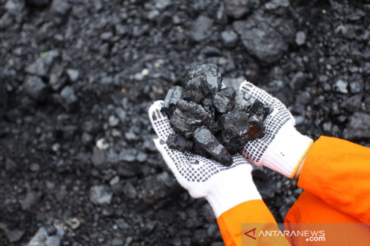 ESDM Temporarily Halted Coal Exports to Secure PLN Electricity Supply