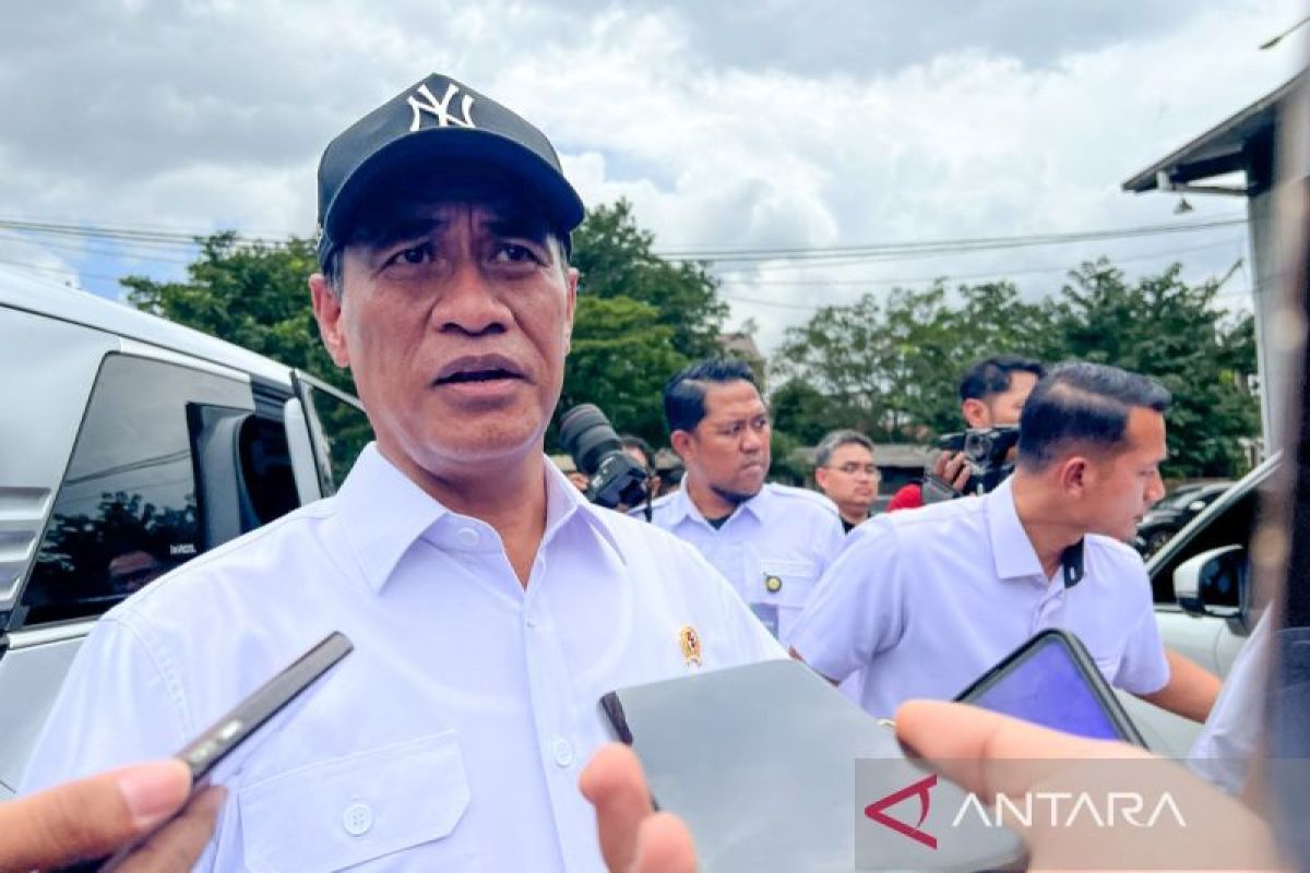 Minister: PM-AAS System Boosts Rice Productivity to 12.4 Tonnes per Hectare
