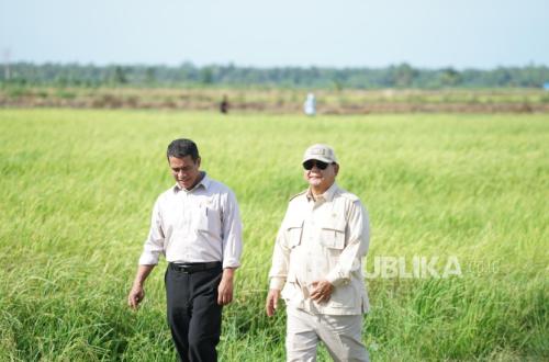 From 5-6 Tonnes to 12.4 Tonnes per Hectare: The New Planting System Claimed by the Agriculture Minister