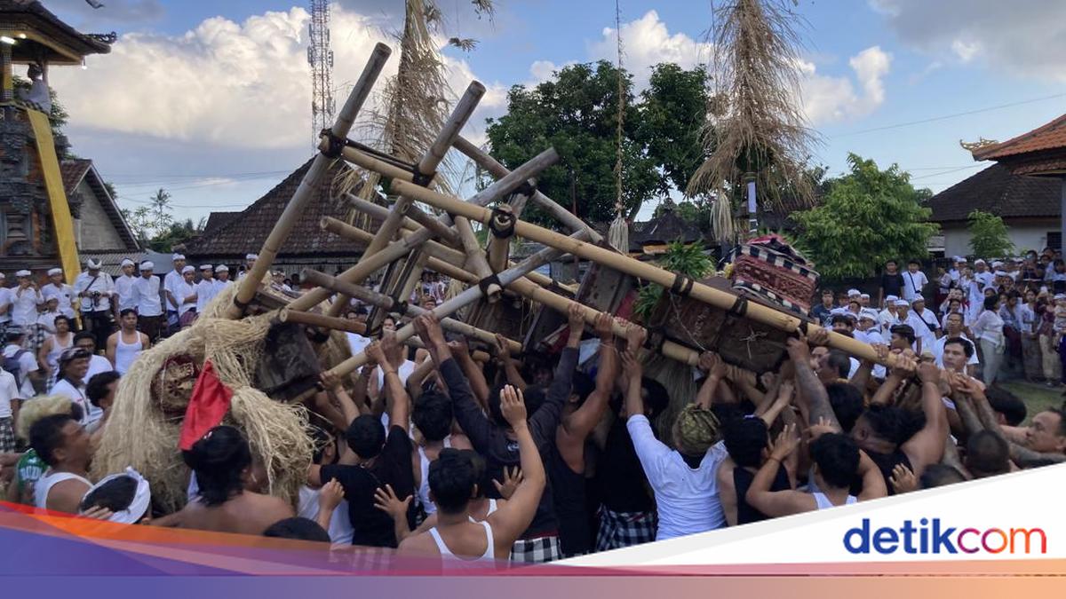 Dewa Masraman Tradition in Paksebali Klungkung Begins with Communal Megibung Feast